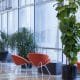 plants office Shine Facility Services