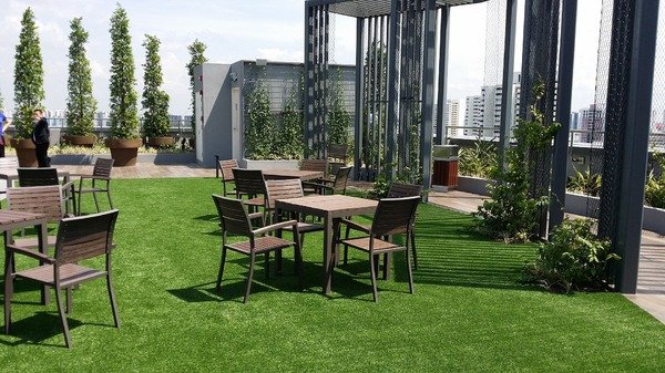 Rooftop garden on top of office building