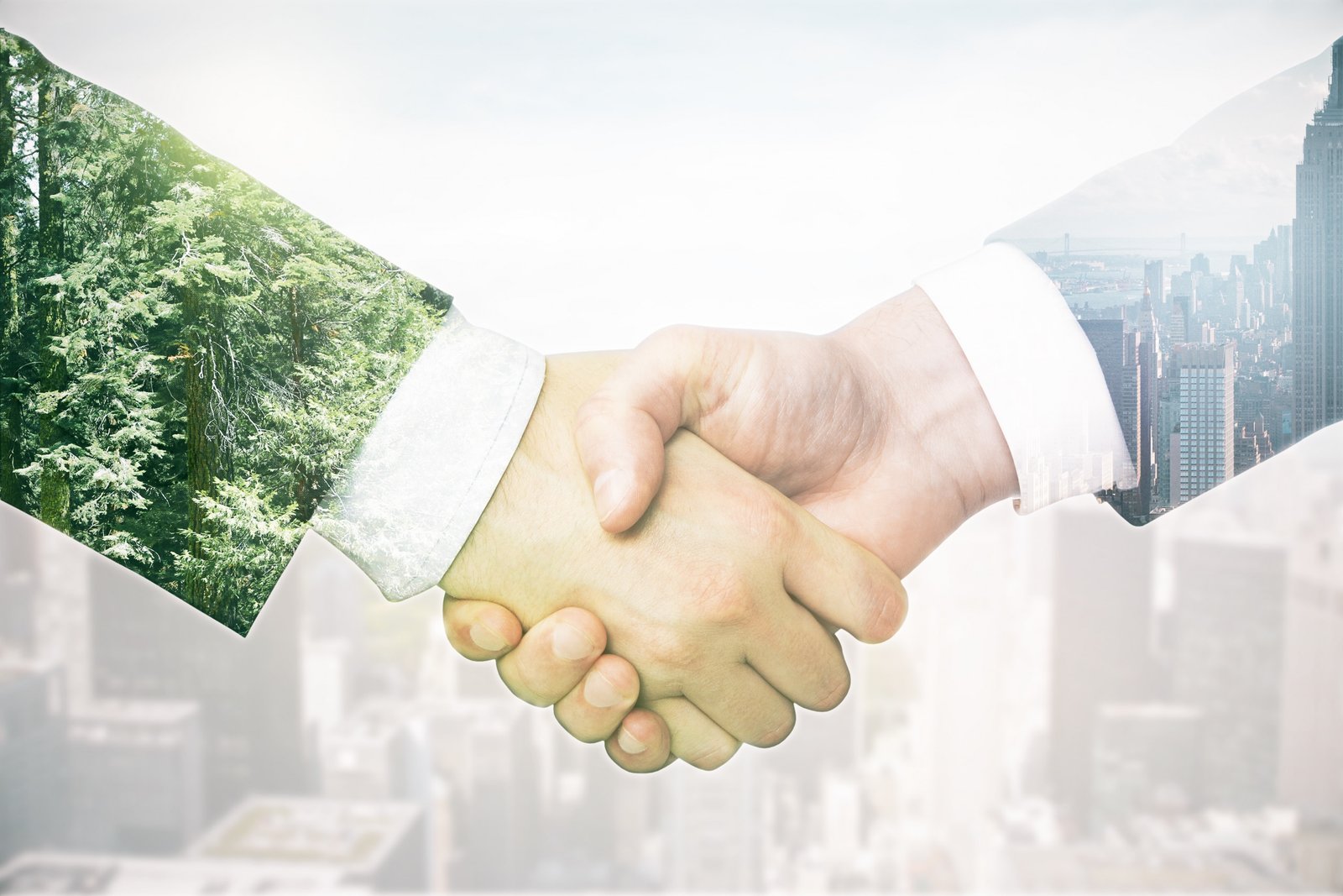 Closeup of businessmen's handshake on abstract light background with city and forest.