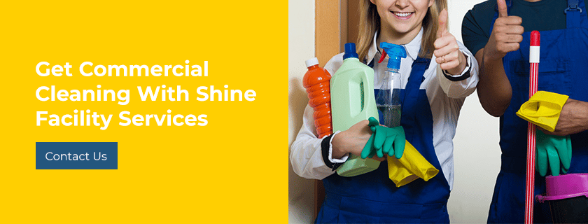 green cleaning with Shine